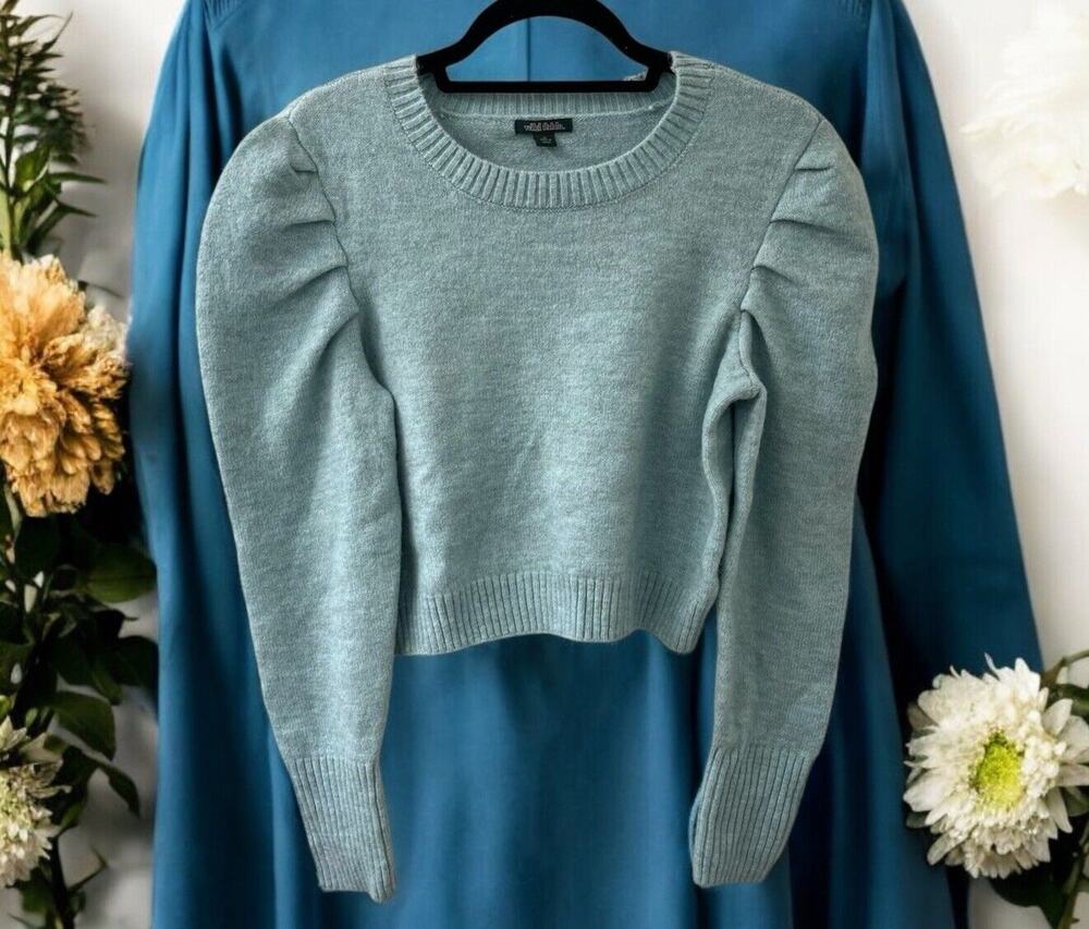 NWT Wild Fable Crop Sweater Blue Green Pleated Puff Sleeves SIZE MEDIUM‎
